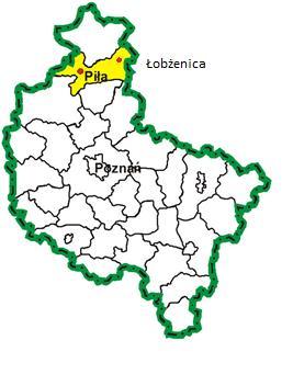 Podstawowe informacje o Gminie Łobżenica Gmina Łobżenica położona jest w północno wschodniej części województwa