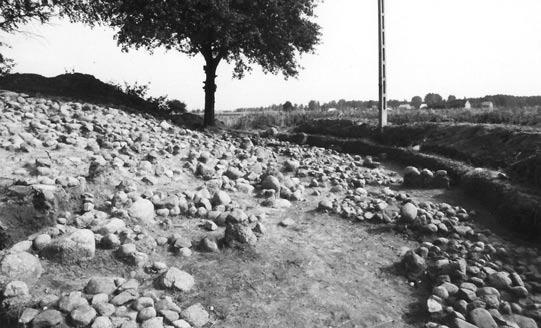 262 Artur Kurpiewski Fig. 3. Wojsze, Ostrołęka district. The remains of the stone construction in quarter D (north-east) (photo from the Archives of the Kurpie Museum in Ostrołęka) Fig. 4.