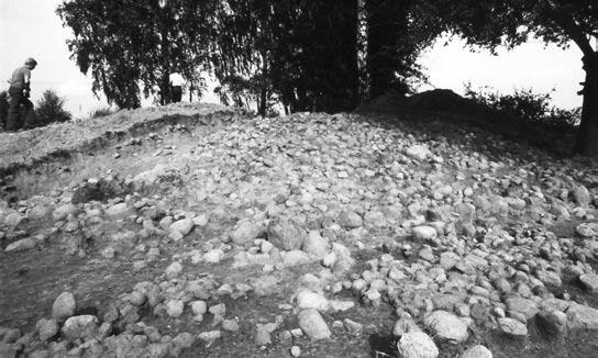 The remains of the stone construction in quarter D (north-east) (photo from the Archives of the Kurpie Museum in Ostrołęka) one preserved horseshoe was discovered and then dated to the 17th century.