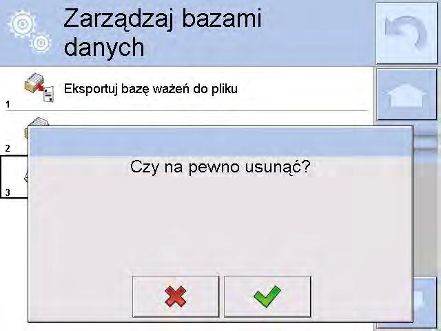 Data określa granicę usunięcia starszych danych niż data wprowadzona. Należy podać rok, miesiąc, dzień.