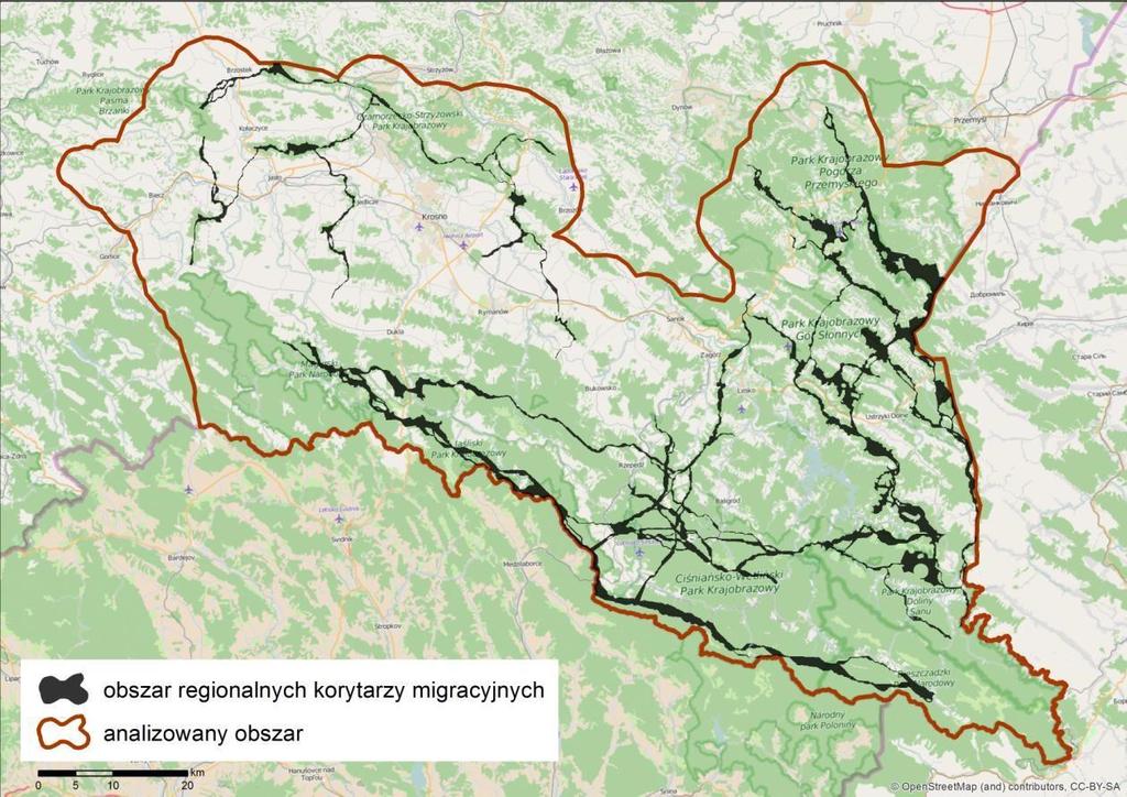 Przebieg potencjalnych korytarzy migracyjnych o znaczeniu regionalnym wyznaczonych w