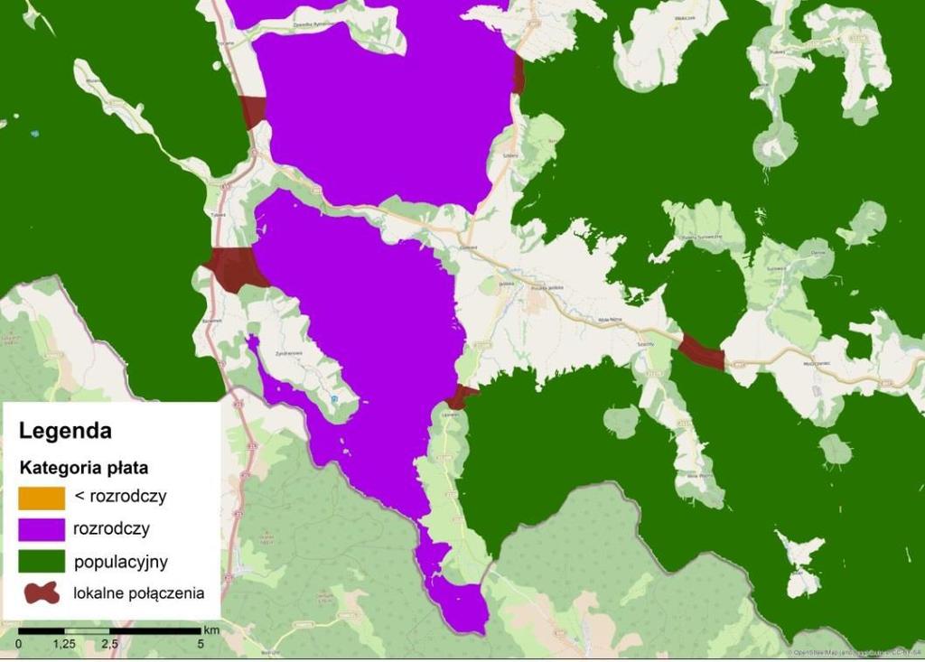 Przykład połączeń między płatami siedliskowymi (korytarze lokalne) wyznaczonych w