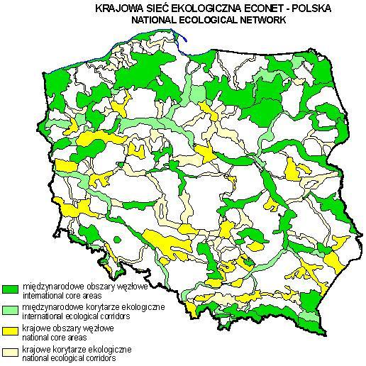 Proponowany przebieg korytarzy