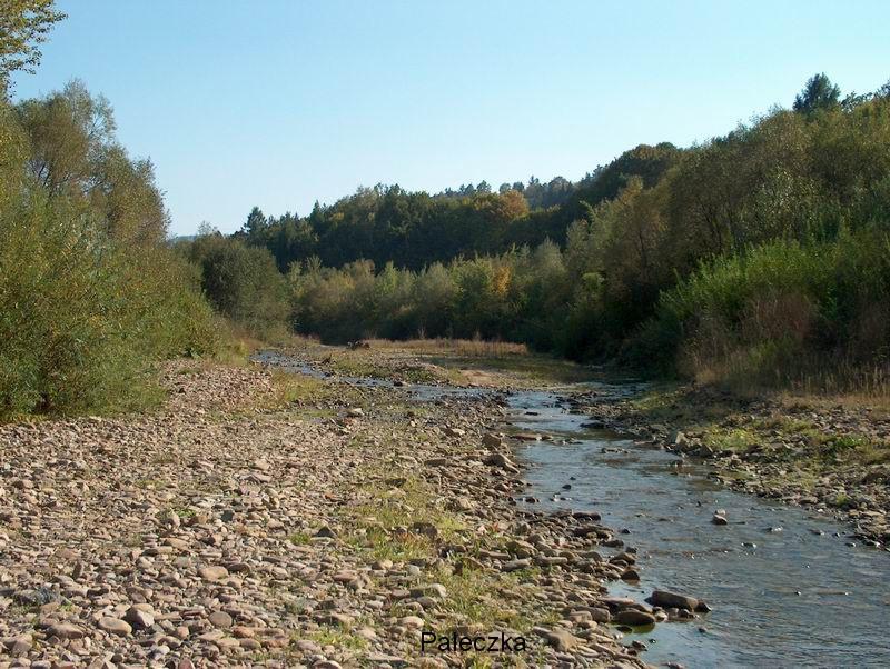 2. CHARAKTERYSTYKA SOŁECTWA PALCZA: 2.