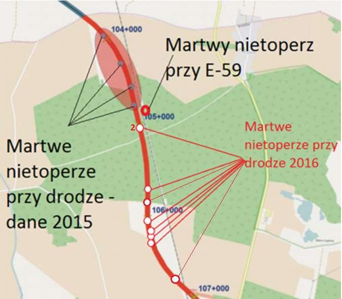 Rok Data kontroli (miesiącdzień) Pikietaż drogi S5 i strona 08-22 104+775 08-29 103+955 Współrzędne geograficzne 51 34'17,736"N1 6 51'32,872"E 51 34'41,196"N1 6 51'14,628"E Gatunek borowiec wielki