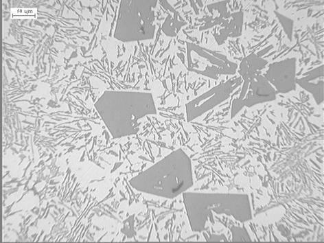 Rys. 1. Mikrostruktura stopu AK20 w stanie niemodyfikowanym Fig. 1. Microstructure of alloy AK20 no modified Rys.