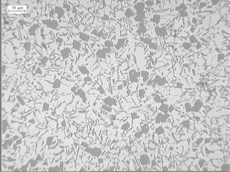 8. Mikrostruktura stopu AK20 po modyfikacji dodatkami 1% AlB4 (0,04% B) i 1,43%