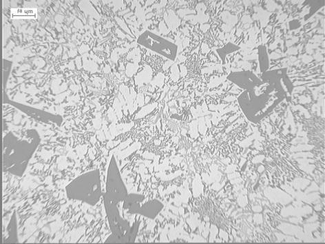 Rys. 9. Mikrostruktura stopu AK20 po modyfikacji dodatkiem 6,6% AlTi3B1 (0,2% Ti, 0,066% B) Fig. 9. Microstructure of alloy AK20 modified with 6,6% AlTi3B1 (0,2% Ti, 0,066% B) Rys. 10.