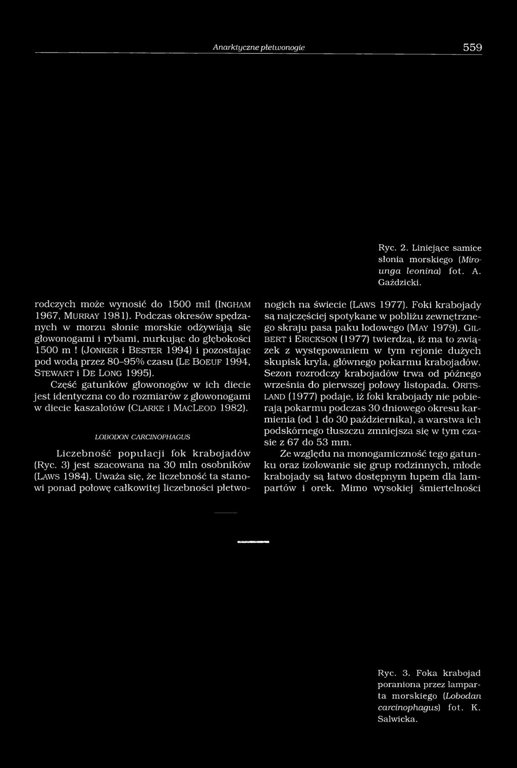 (J o n k e r i B e s t e r 1994) i pozostając pod wodą przez 80-95% czasu (L e B o e u f 1994, S t e w a r t i D e L o n g 1995).