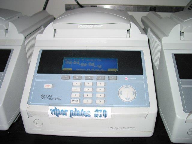 PCR/RFLP Polymerase Chain Reaction