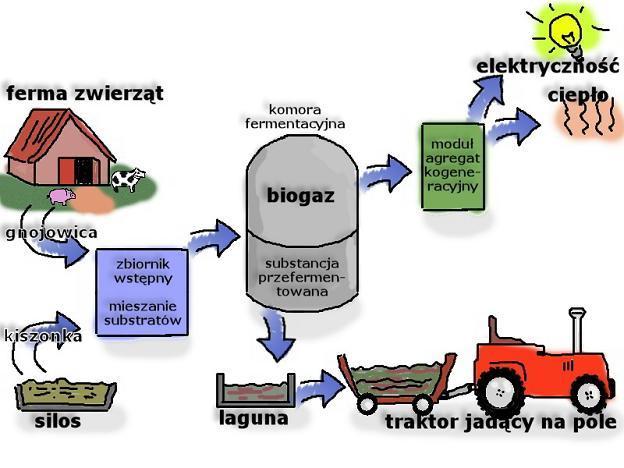 W wyniku fermentacji biomasy powstaje