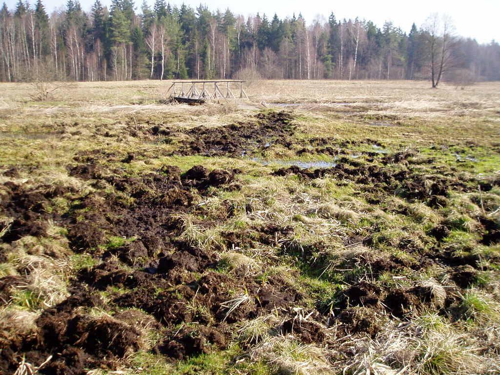 Rysunek 15. Szlak niebieski w okolicy kładki na Chwiszczeju. Trudny do pokonania nie tylko rowerem, ale również pieszo. 3.3.2.