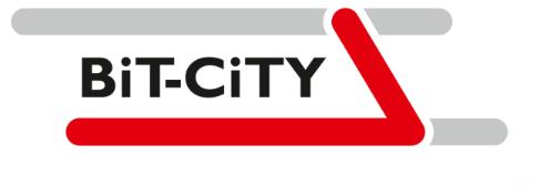 BiT-City II