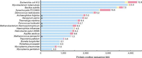 Udział HGT w ewolucji genomów bakterii Ochman et al.