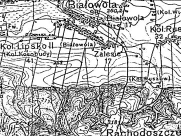 Zalesie Wieś leżąca w południowo-wschodniej części obecnej gminy Zamość. Około połowy XIX stulecia (po 1846 r.