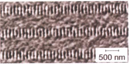 Magnetyczny zapis w informatyce Zapis binarny (, 1) kierunek namagnesowania / 35 nm szer.