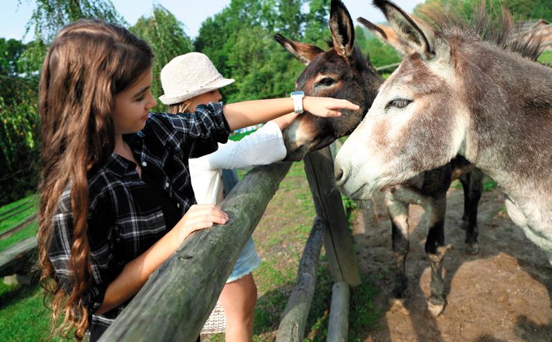 badmintona, altany, paleniska przystosowane do ognisk i grilla, Wioska indiańska oraz Park zabaw dla