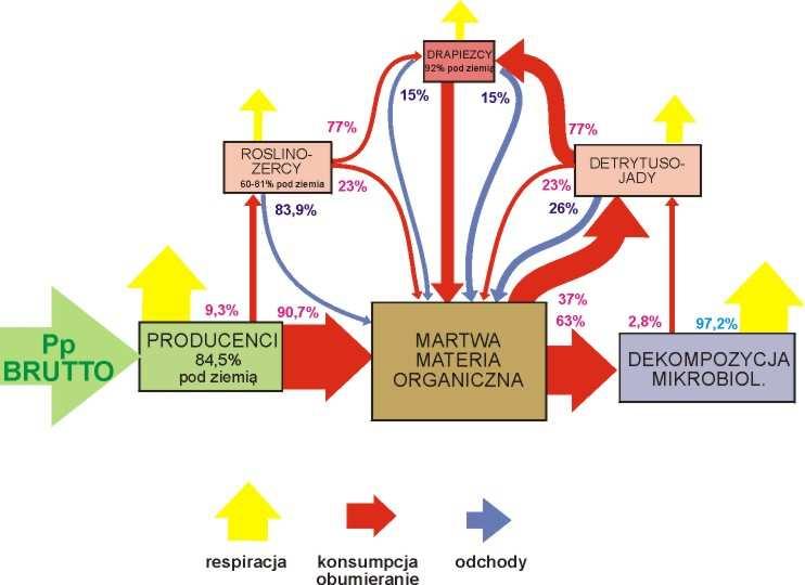 EKOSYSTEM