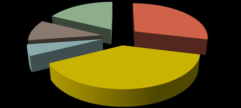 Struktura budżetu projektu 17% 29% 10% 5% 39% Zadanie 1 -Zajęcia specjalistyczne prowadzące do nabycia