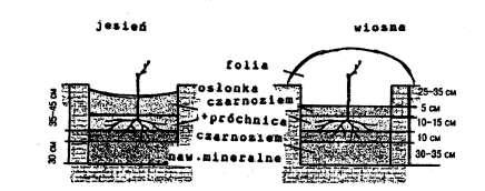 10 -jeżeli krzewy są posadzone w jednym rzędzie, to jego ukierunkowanie może być dowolne. Sadzonki sadzimy we wcześniej wykopane dołki o rozmiarach 50x50 lub 80x80 cm i głębokości 60-80 cm.