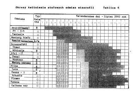 120 latach początek i koniec kwitnienia może być różny.