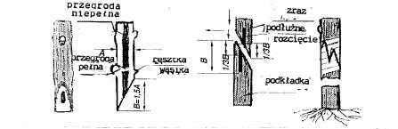 160 dłuższe od grubości zrazów. Na cięciach nacinamy języczki, przy pomocy, których łączymy podkładkę ze zrazem (ulepszona kopulacja).