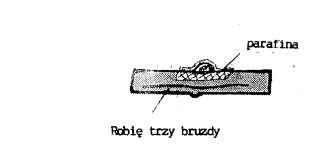 164. Rys.27.Parafinowanie i bruzdowanie zrazów. Sadzenie zrazów do substratu.