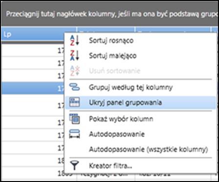 Aby ponownie pokazać panel grupowania, należy kliknąć prawym klawiszem myszy na dowolnym nagłówku listy wpisów rejestru i z menu podręcznego wybrać opcję Pokaż panel grupowania.