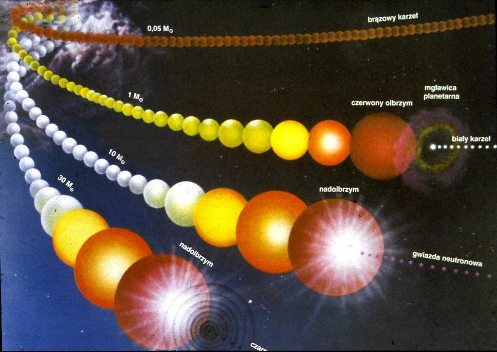 Podsumowanie M < 0,08 M brązowy karzeł (masa za mała na gwiazdę) M < 1,2 M H He (T~100 mln K) 1,2 M <