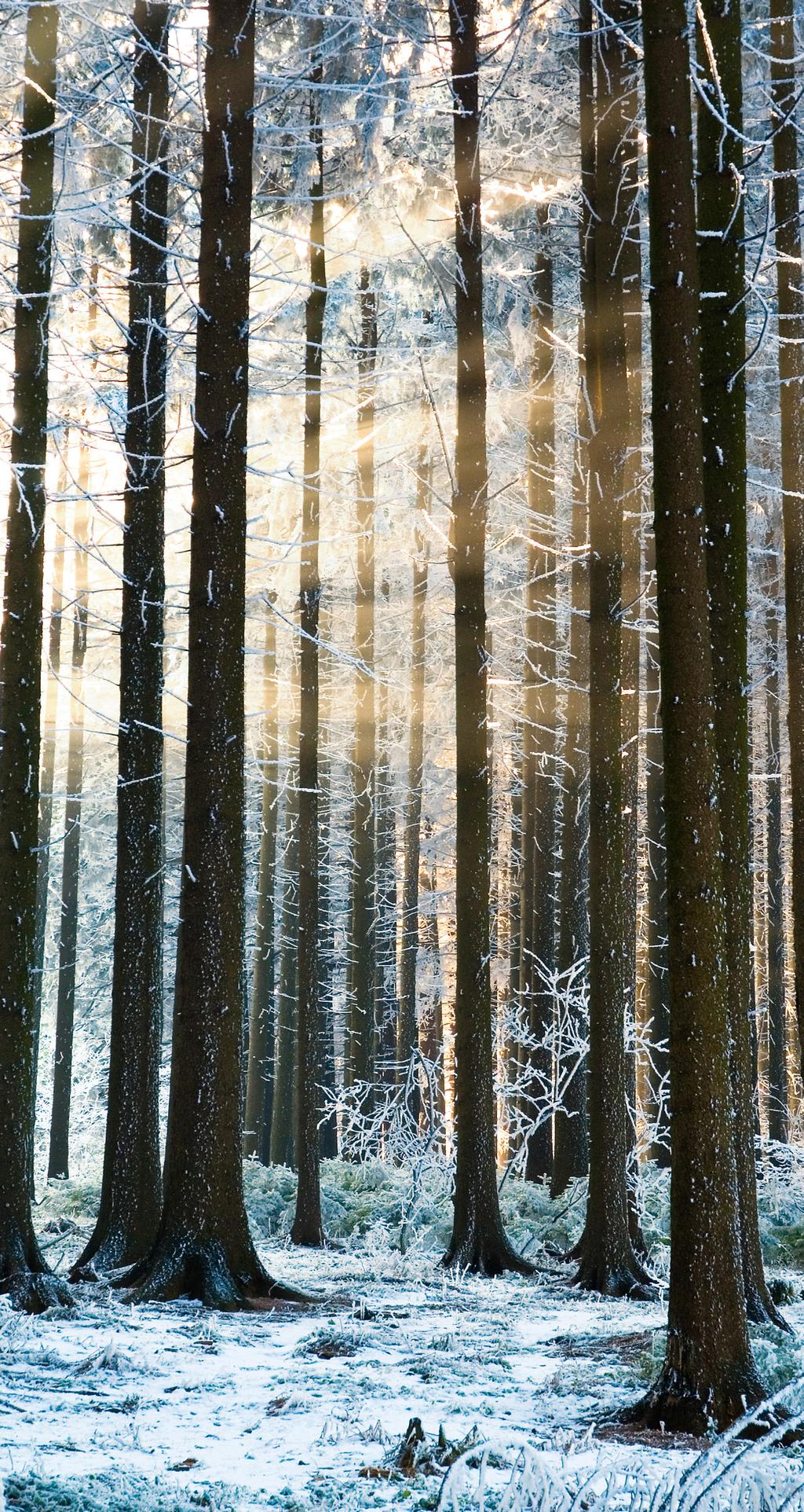 OKOLICA Nowy Sącz Wokół Osady Potok znajduje się wiele atrakcji, które sprawiają, że jest ona idealnym miejscem rodzinnego wypoczynku.