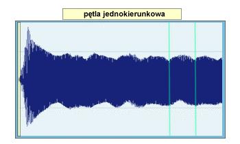 Zapętlanie Zapętlanie próbki (looping) umoŝliwia powtarzanie wybranego fragmentu próbki.