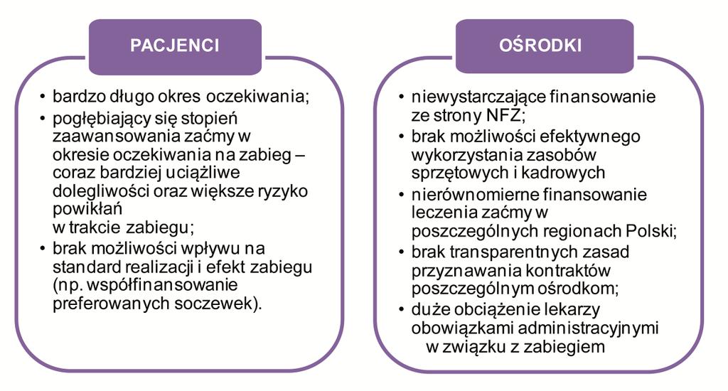 2.5.2. Negatywne konsekwencje obecnego systemu finansowania leczenia zaćmy Reasumując, najważniejsze problemy i negatywne konsekwencje obecnego systemu finansowania leczenia zaćmy dotykają