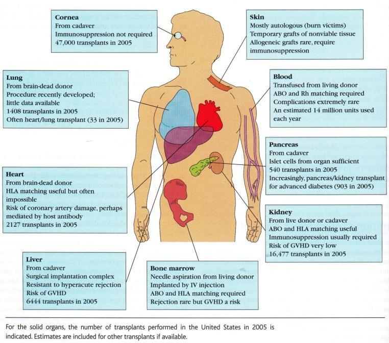Transplantacja narządów jest metodą z wyboru leczenia chorych z krańcową niewydolnością narządów, pozwalającą na