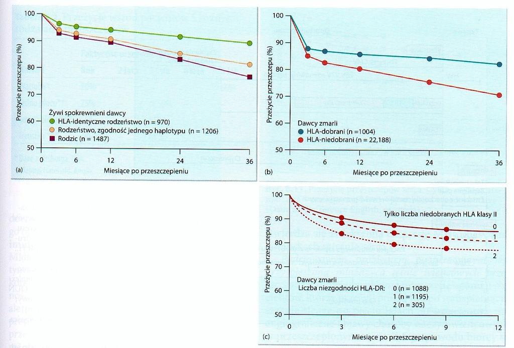 Wpływ doboru HLA na przeżycie alloprzeszczepów nerkowych (a) Wpływ doboru immunologicznego na przeszczepy od dawców żywych spokrewnionych.