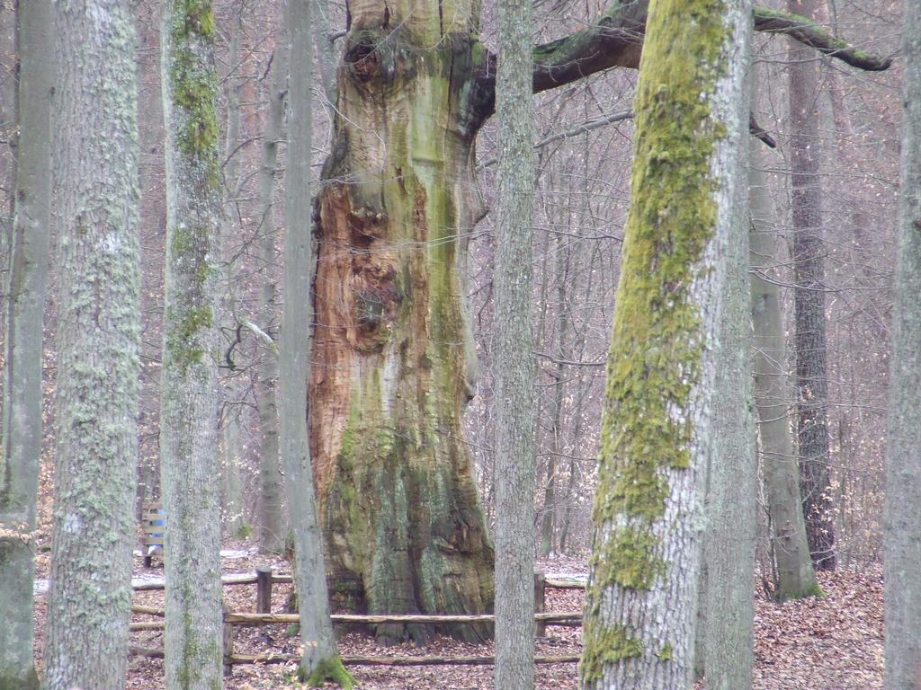 Ogromna większość stanowisk gatunków stanowiących przedmioty ochrony Natura 2000