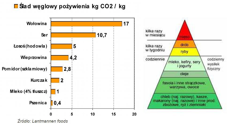 Gospodarka niskoemisyjna