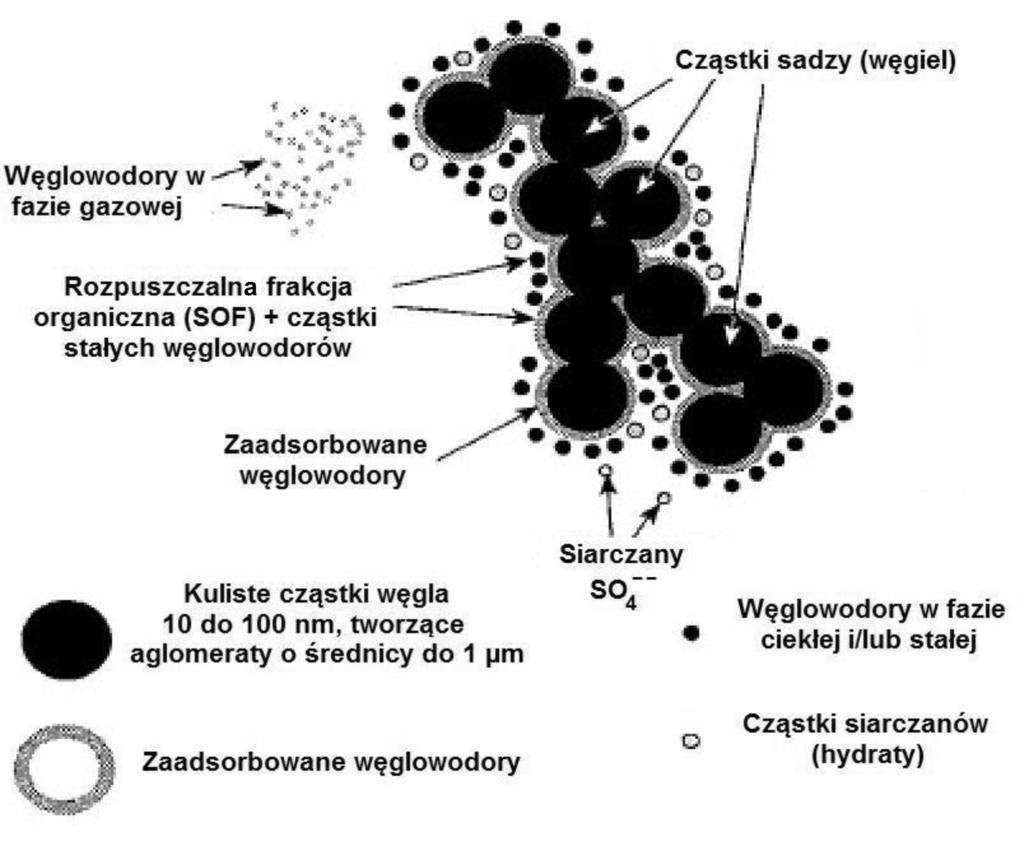 artykuły Względna siła działania mutagennego poszczególnych WWA jest zróżnicowana (tablica 1). Tablica 1.