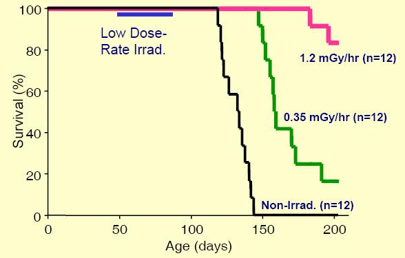 (M. Janiak et al.