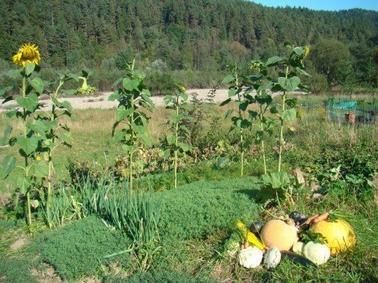 Wybrane narzędzia i metody deregulacji rynków lokalnych Do