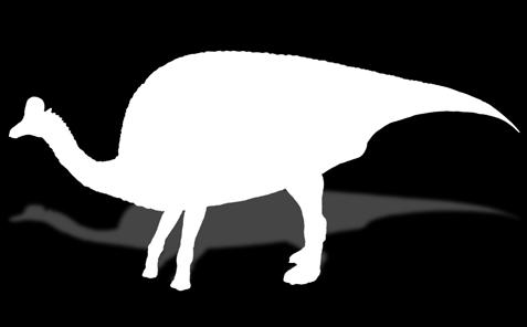760 cm, szerokość 100 cm Iguanodon