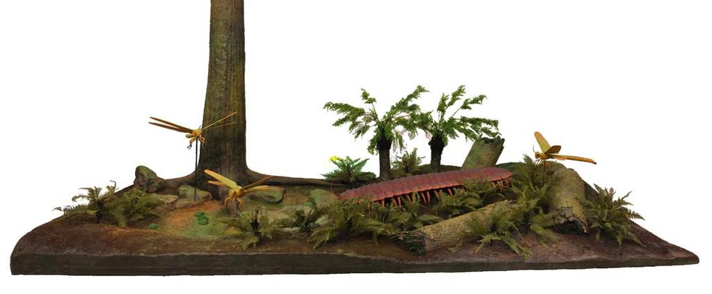 DIORAMA W KArBOŃSKIM LESIE Parametry techniczne dioramy: WYSOKOŚĆ ok. 240cm SZEROKOŚĆ ok. 2430 cm DŁUGOŚĆ ok. 500 cm MODEL ARTROPLEURY długość ok.