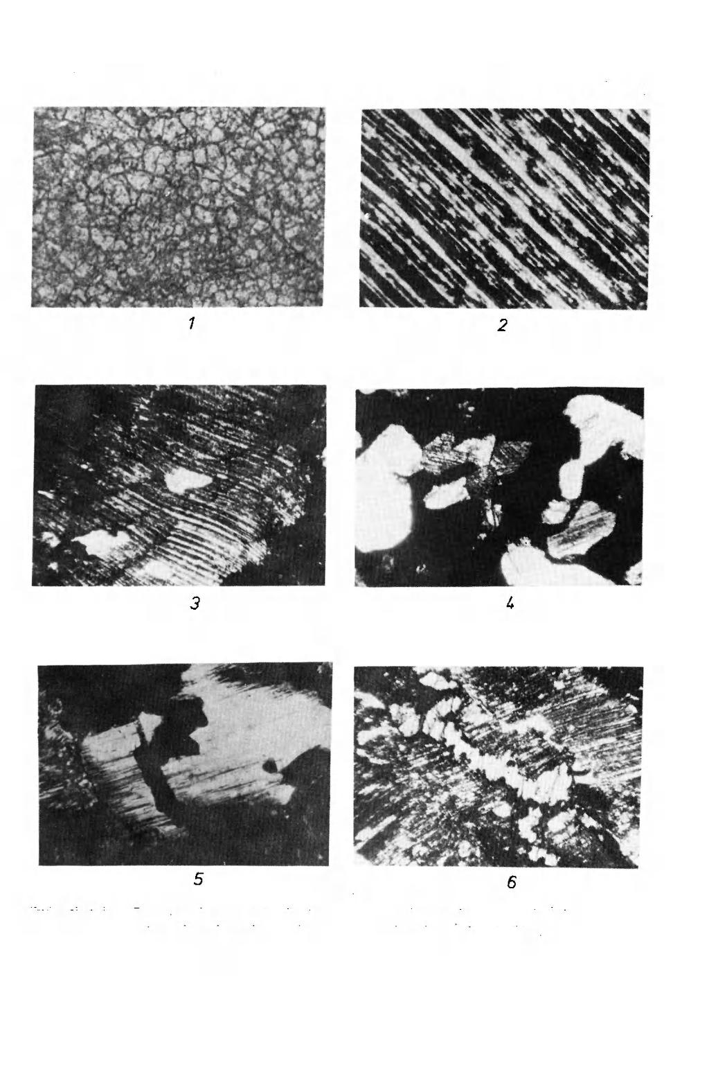 GEOLOGIA SUDETICA VOL.