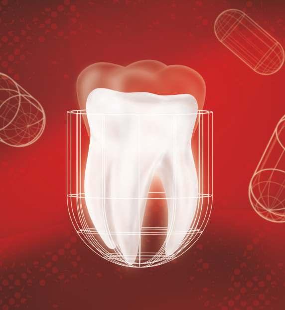 Biodentine to pierwszy bioaktywny i biokompatybilny materiał o doskonałych właściwościach uszczelniających, który może