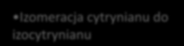 REAKCJE CYKLU KREBSA CH 2 HO C CH 2 - H 2 O CH 2 C CH Izomeracja cytrynianu do izocytrynianu + H 2 O HO CH CH 2 HC 2 2 Enzym: