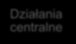 Realizatorzy programu Opcje wdrożenia programu Samorząd województwa w partnerstwie z samorządami terytorialnymi szczebla