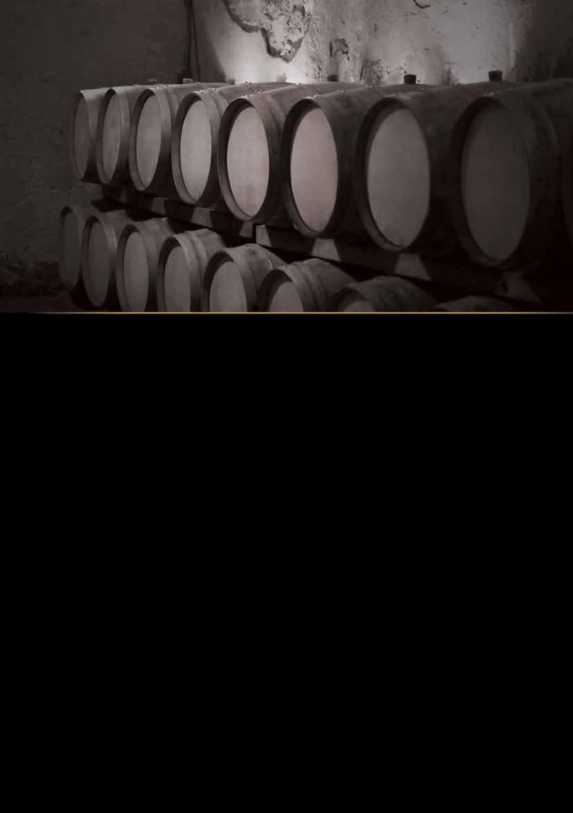 PORTUGALIA RESERVA DO PASSO LISBOA / PORTADA LISBOA / PAXIS LISBOA [1] [C] [1] Paxis Caladoc/Tinta Roriz Dobrze zbudowane, delikatnie czerwone wino powstałe ze słynnych portugalskich szczepów Caladoc