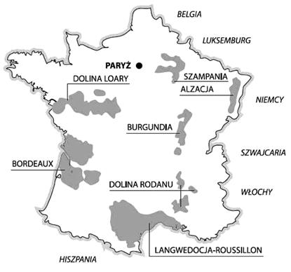 Francja ma do zaoferowania wszystko - musujące szampany, potężne, świetnie starzejące się wina z Bordeaux, czy wyrafinowane burgundy, to tylko niektóre z wielu win przynoszących chwałę Francji.