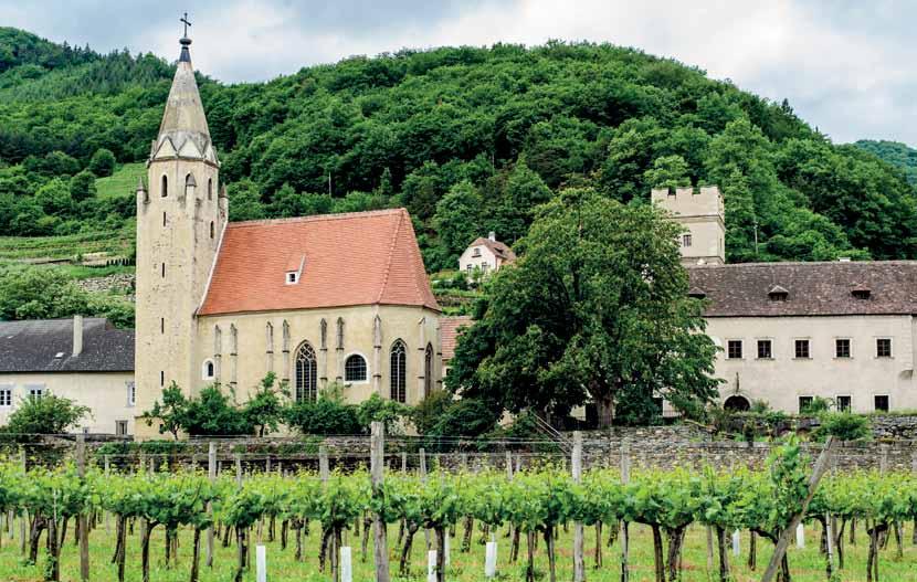 WINA AUSTRIACKIE W ciągu ostatnich dwudziestu lat Austria, jako kraj winiarski zyskała doskonałą renomę na arenie międzynarodowej.