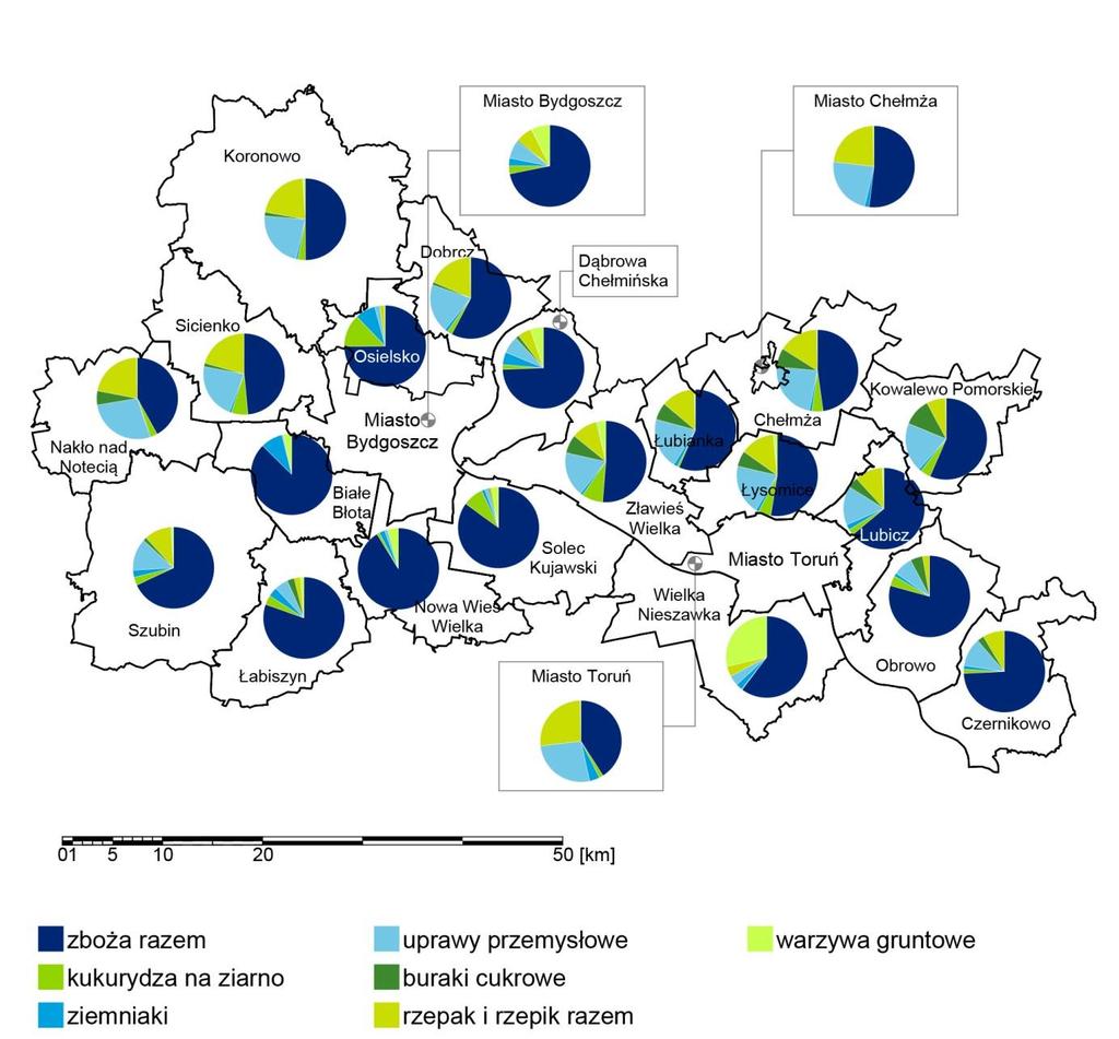 Wykres 4. Struktura zasiewów na terenie Bydgosko Toruńskiego Obszaru Funkcjonalnego (stan na 2010 r.