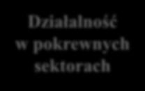 Ponadregionalne powiązanie kooperacyjne Minimum 5 przedsiębiorców Działalność w pokrewnych sektorach